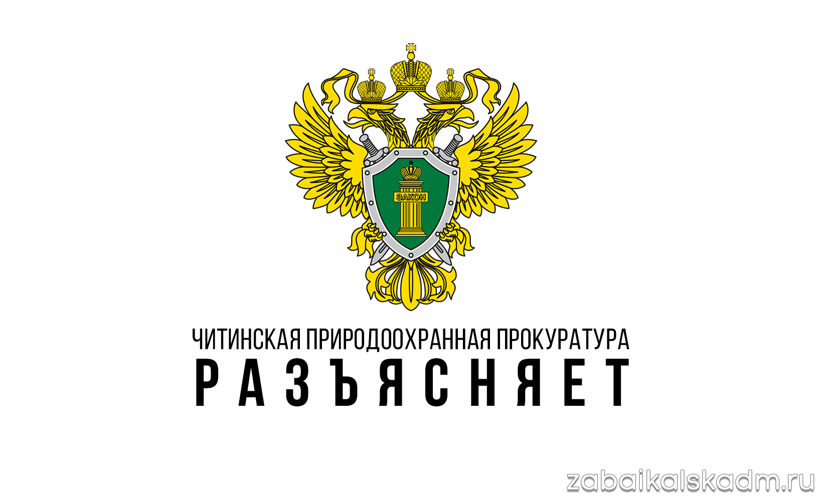 О соблюдении законодательства о пожарной безопасности в лесах и ответственности за возникновение природных пожаров