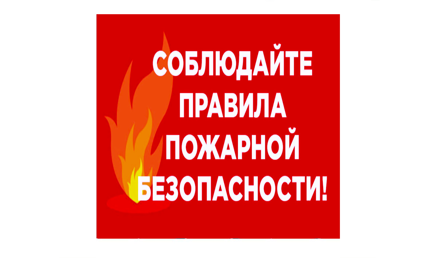 Причина пожара – нарушение требований пожарной безопасности при эксплуатации и устройство отопительных печей.